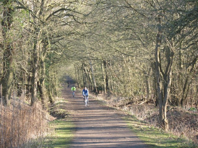 London's Top 10 Lists: