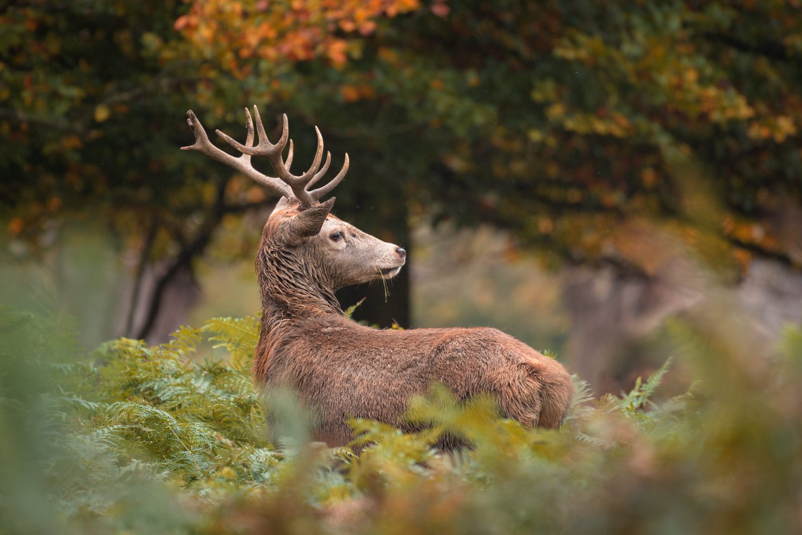 London's Top 10 Lists: